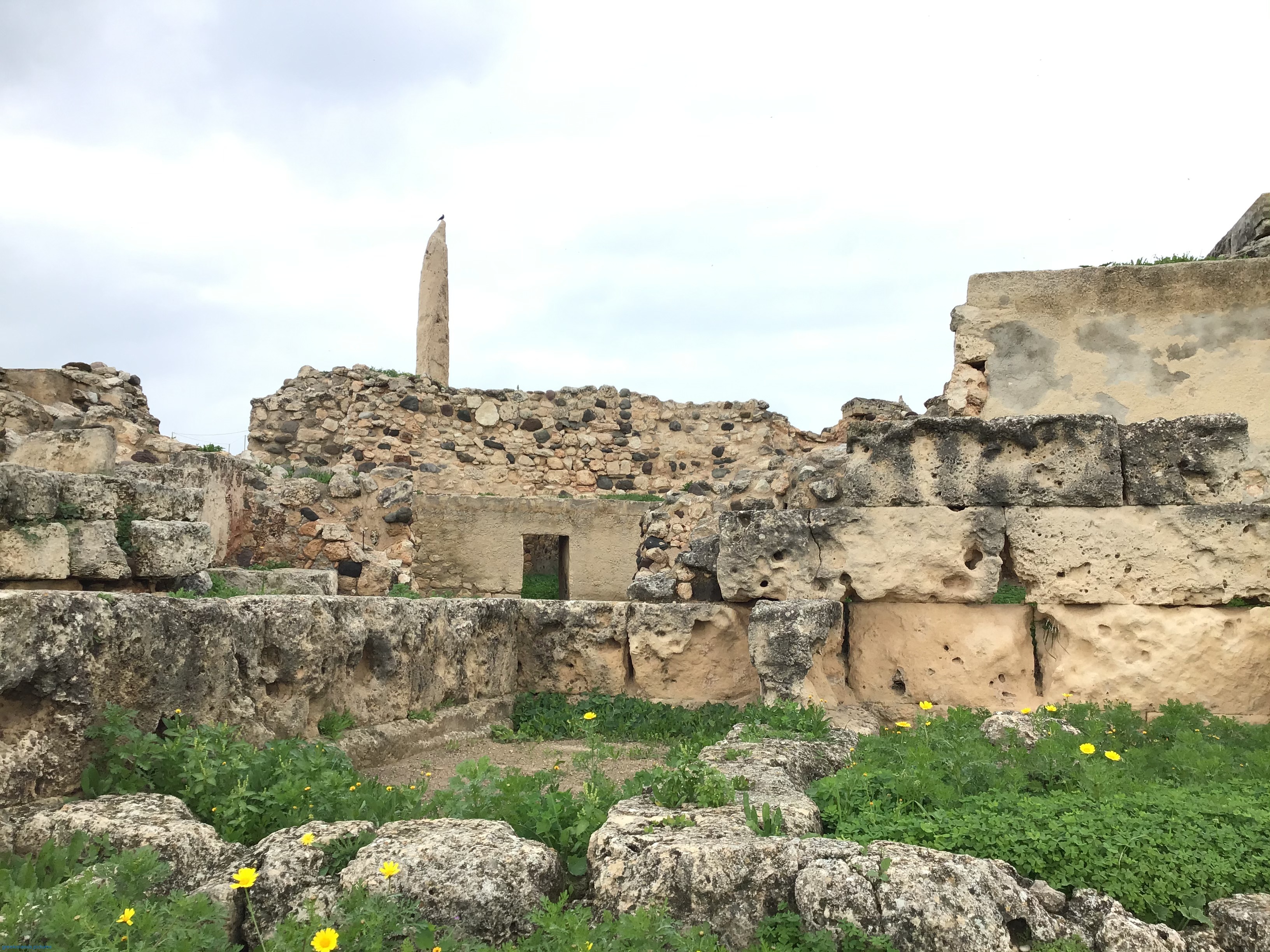 At the entrance of the port stands the Kolona the only remain of the Doric temple of Apollo (6th c. BC)